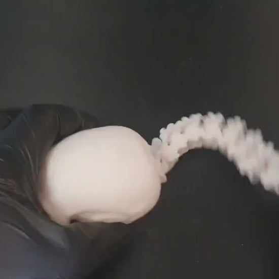 Totenkopf mit beweglicher Wirbelsäule flexibel handbemalter Menschenschädel articulated Predator Trophy anatomisches Schreibtischspielzeug