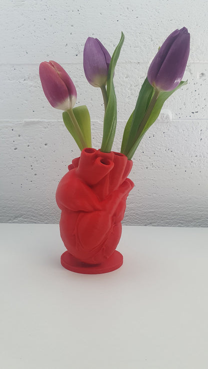 Last Minute Valentinstag Geschenk anatomische Herz Vase