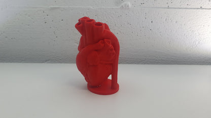 Last Minute Valentinstag Geschenk anatomische Herz Vase